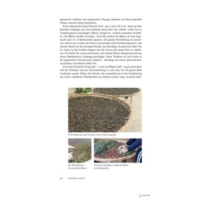 Journal Culinaire, No. 35 Camellia Sinensis (Tee)