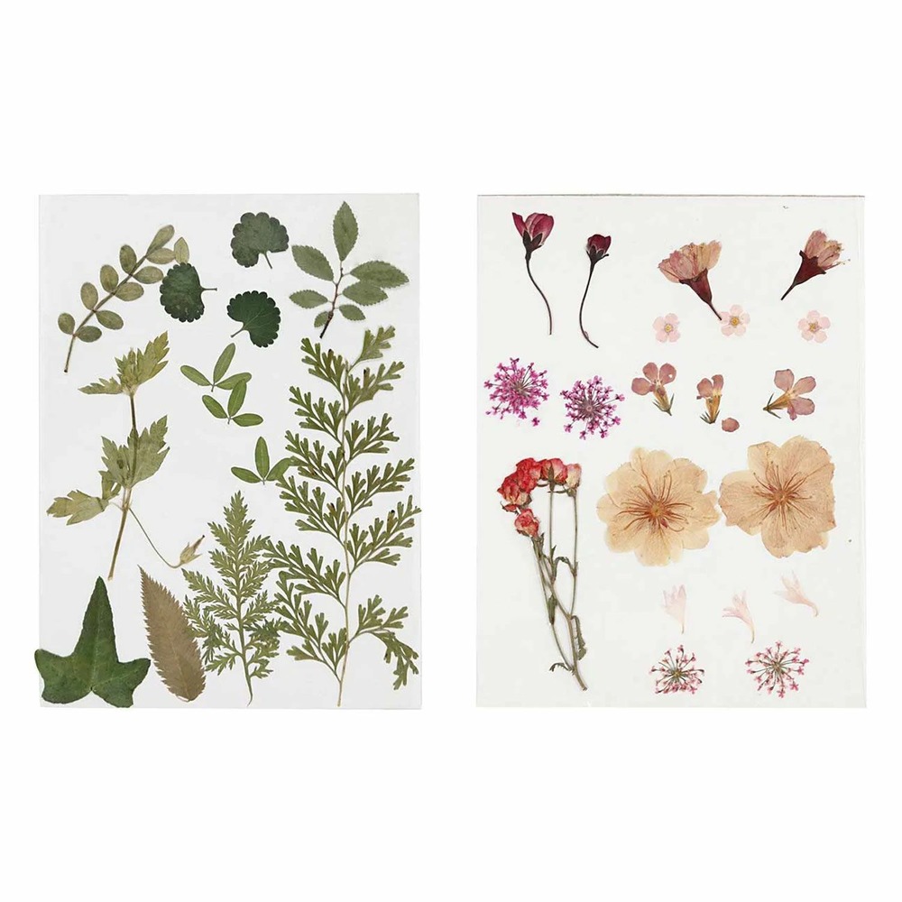 40 fleurs et feuilles séchées - rose & vert