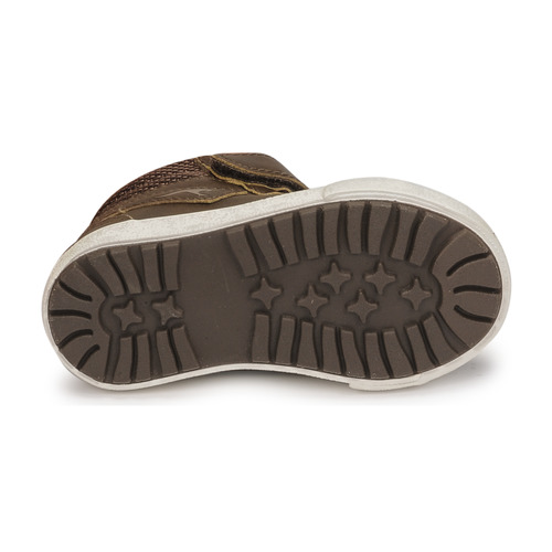 Kangaroos - KAVU III - Marron