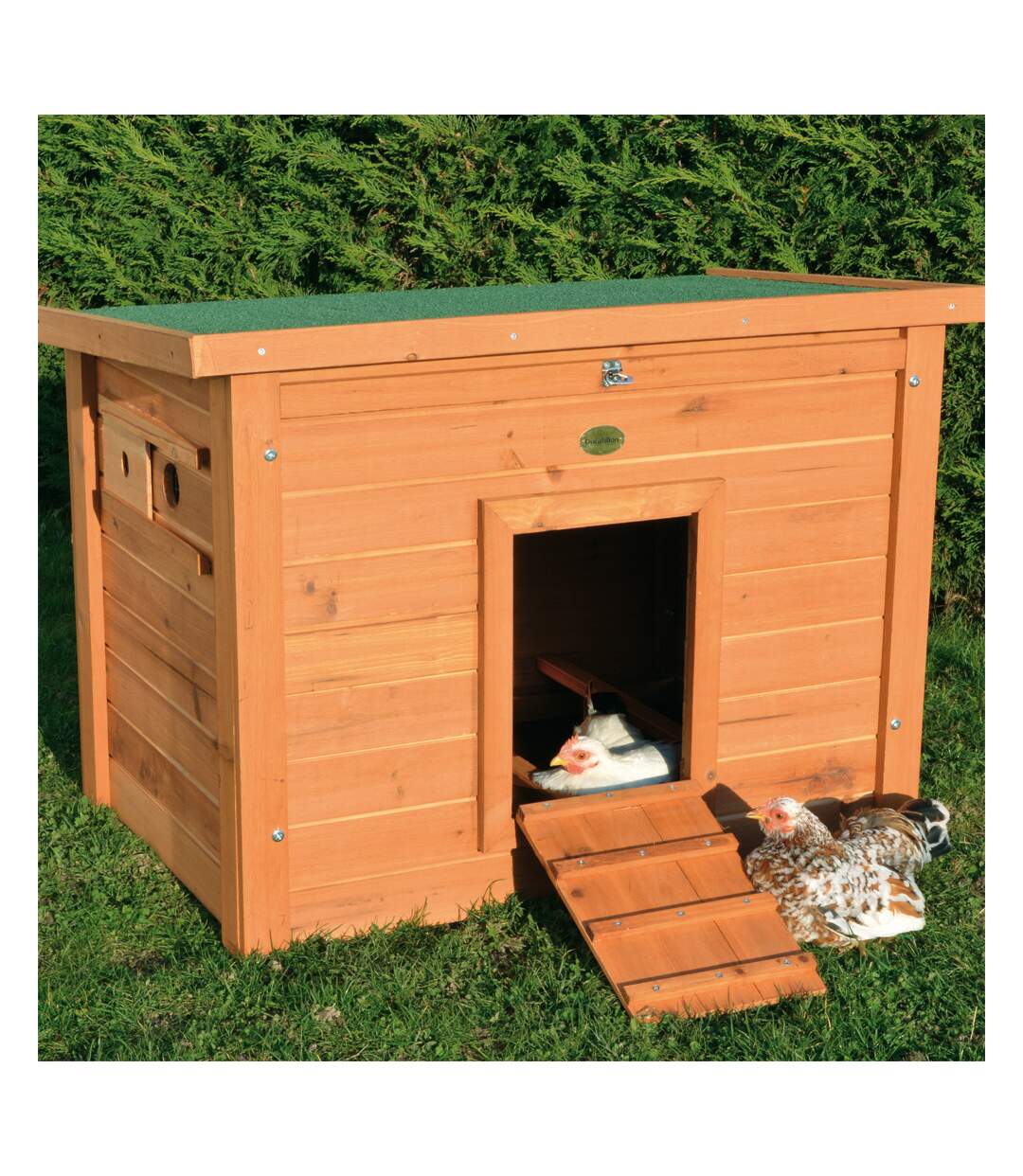 Poulailler Easyfarm