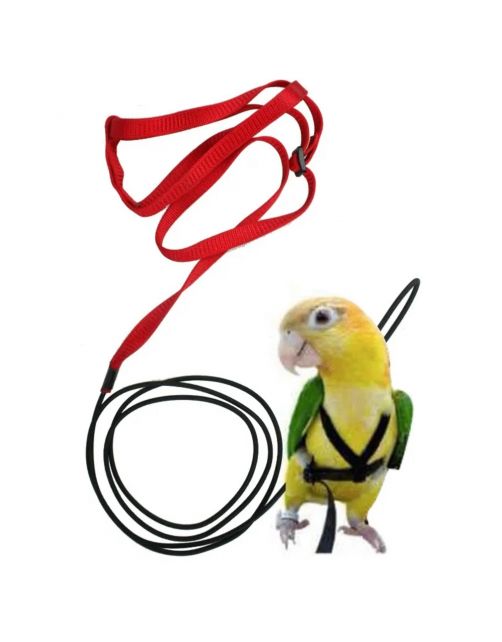 Keddoc Vogelharnas Xxs Assorti - Vogelaccessoires