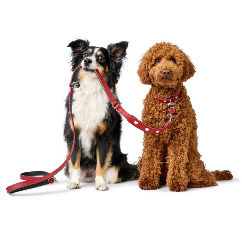 Laisse réglable HUNTER Love, rouge pour chien