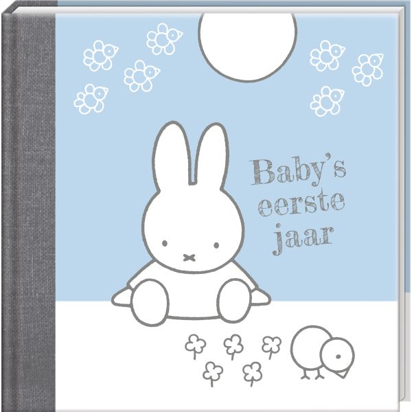 Interstat Baby's Eerste Jaar blauw