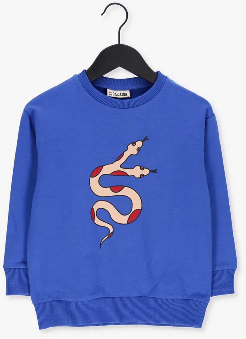 CARLIJNQ blauwe carlijnq trui serpent - sweater with print