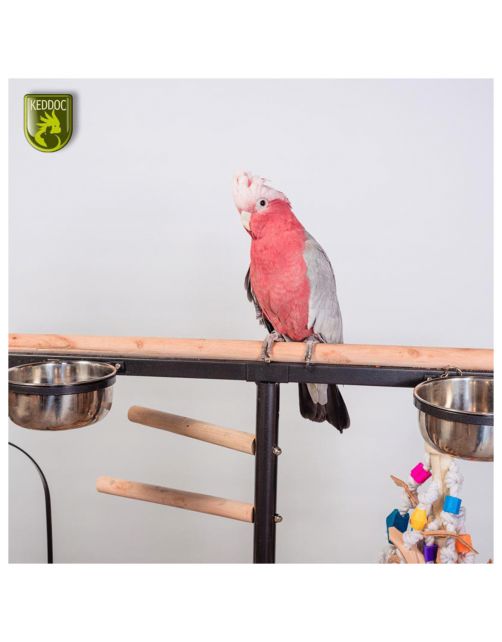 Keddoc Play Stand Iowa - Vogelverblijven - 92x54x142 cm Donkergrijs