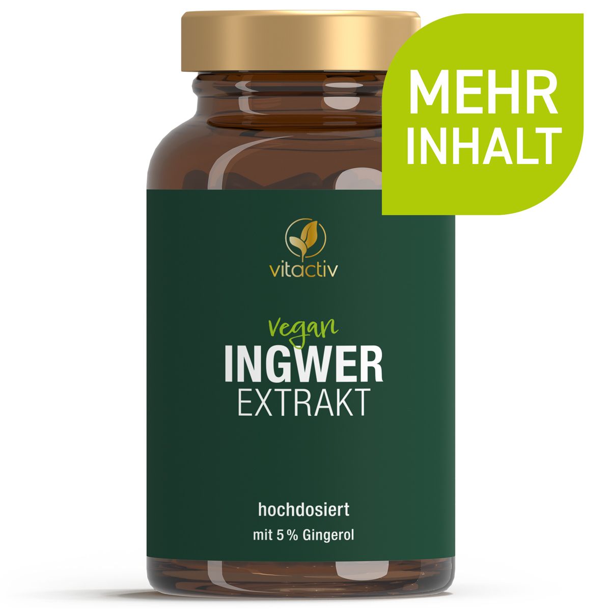 Vitactiv Ingwer Extrakt