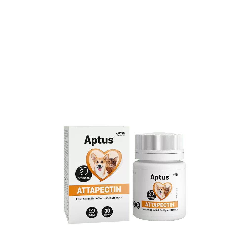 Aptus Attapectin Tabletter - 30 stk