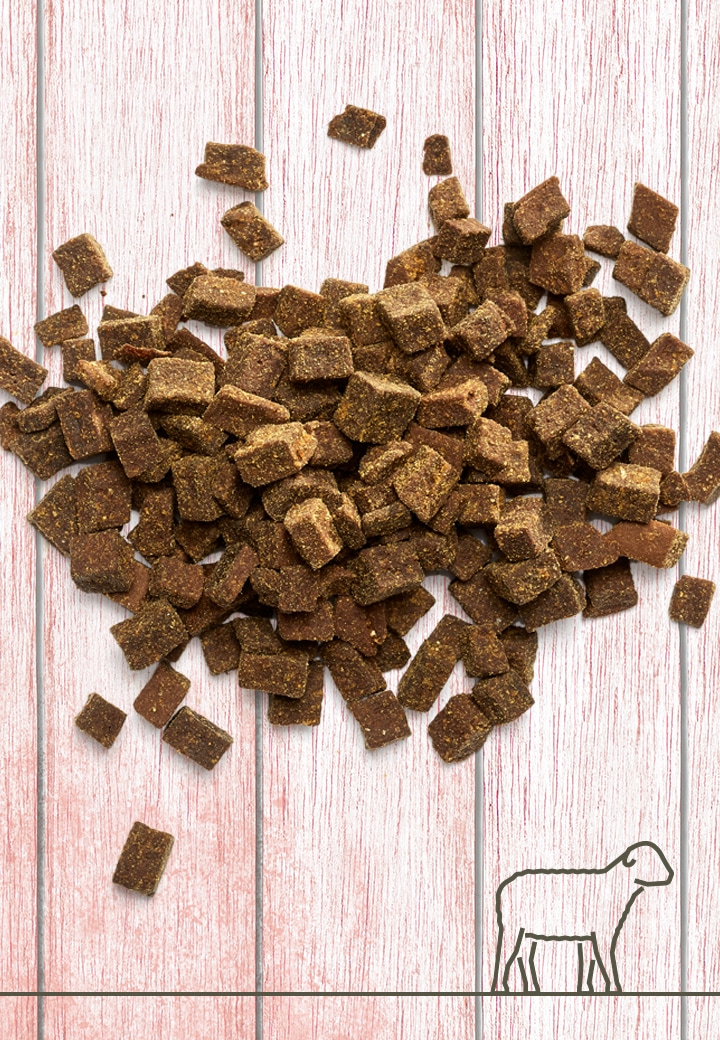 Lammfleisch-Leckerchen, 100g | 250g | 1000g