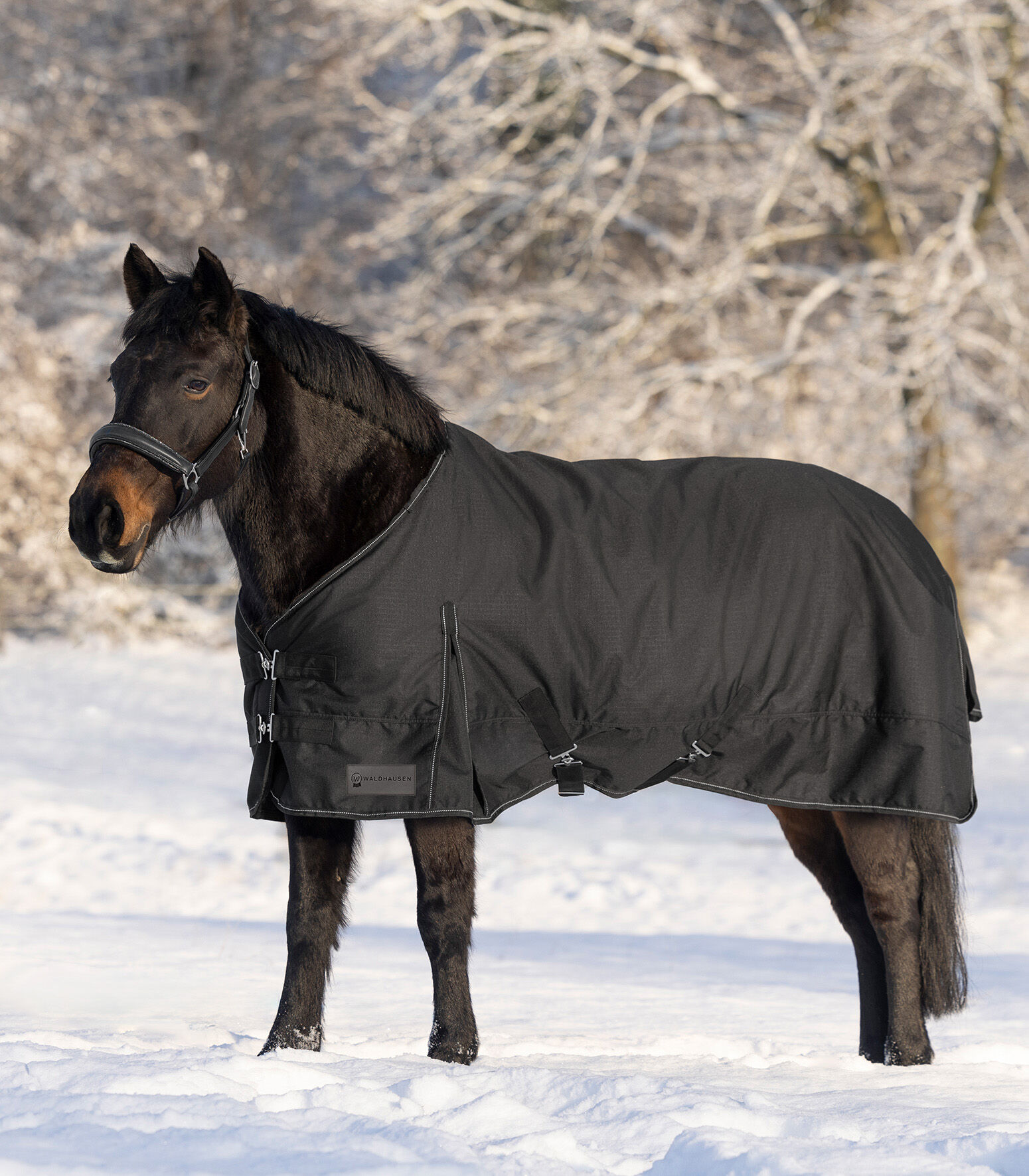 Waldhausen Nordic Fleece - Winterdeken - Paardendeken - Zwart - 95/145