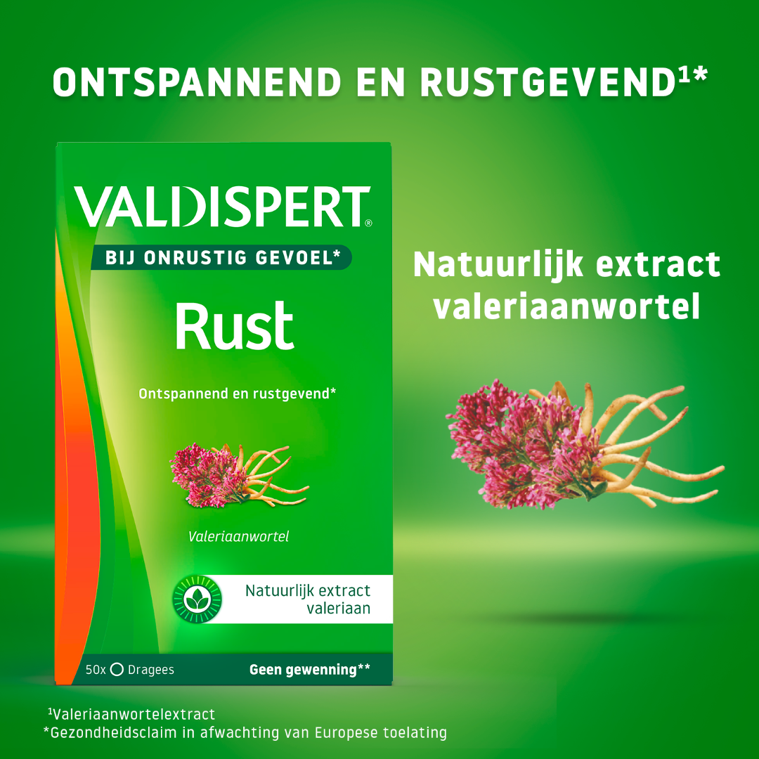 Valdispert Rust (50 dragees)