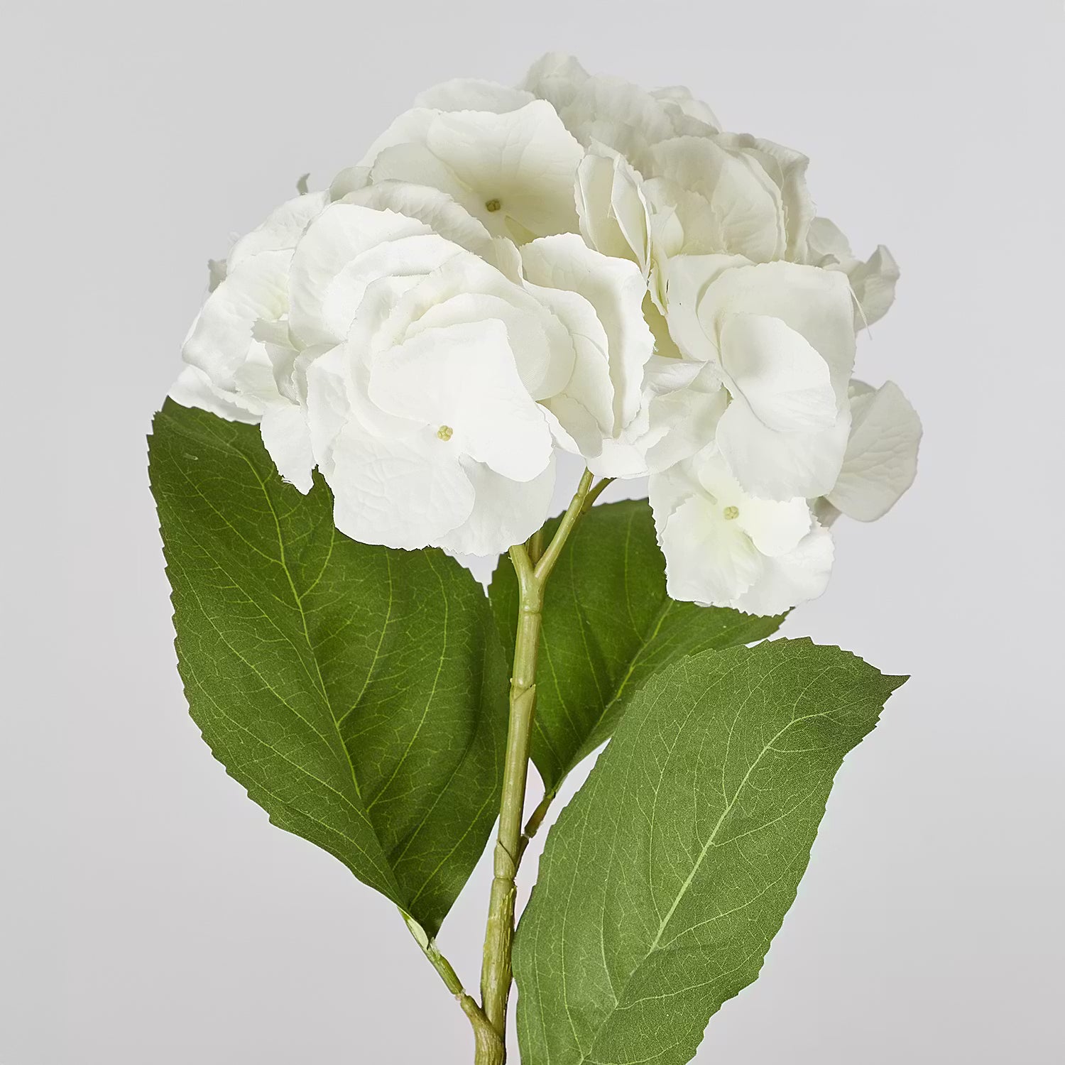 FLORISTA Kunstblume Hortensie 6er-Set