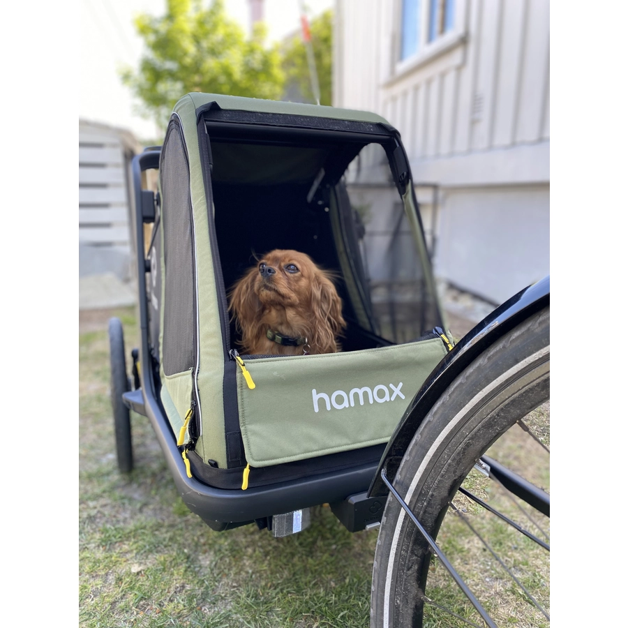 hamax Hundeanhänger Pluto M greenblack