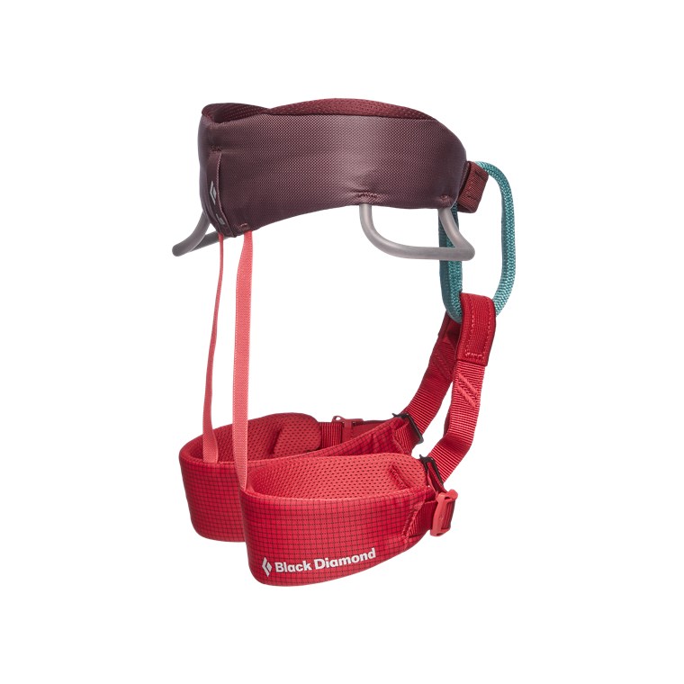 Black Diamond Momentum Harness - Kids' Wild Rose