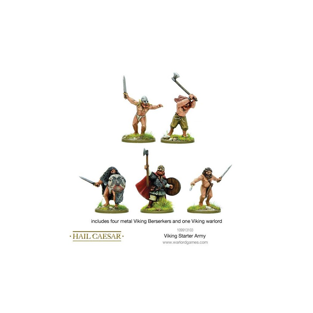 Viking Starter Army