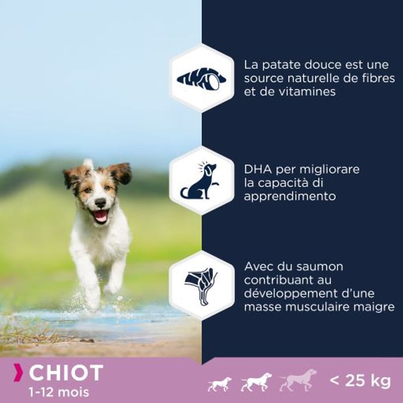 Eukanuba Grain Free Puppy Small / Medium Breed avec du saumon