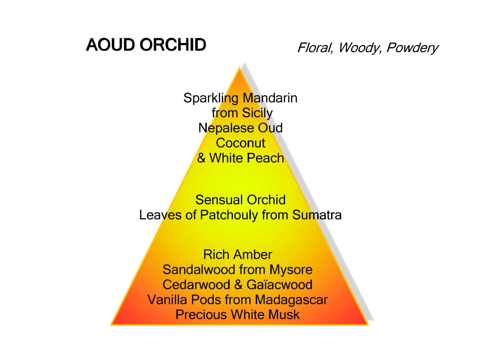 Mancera Aoud Orchid