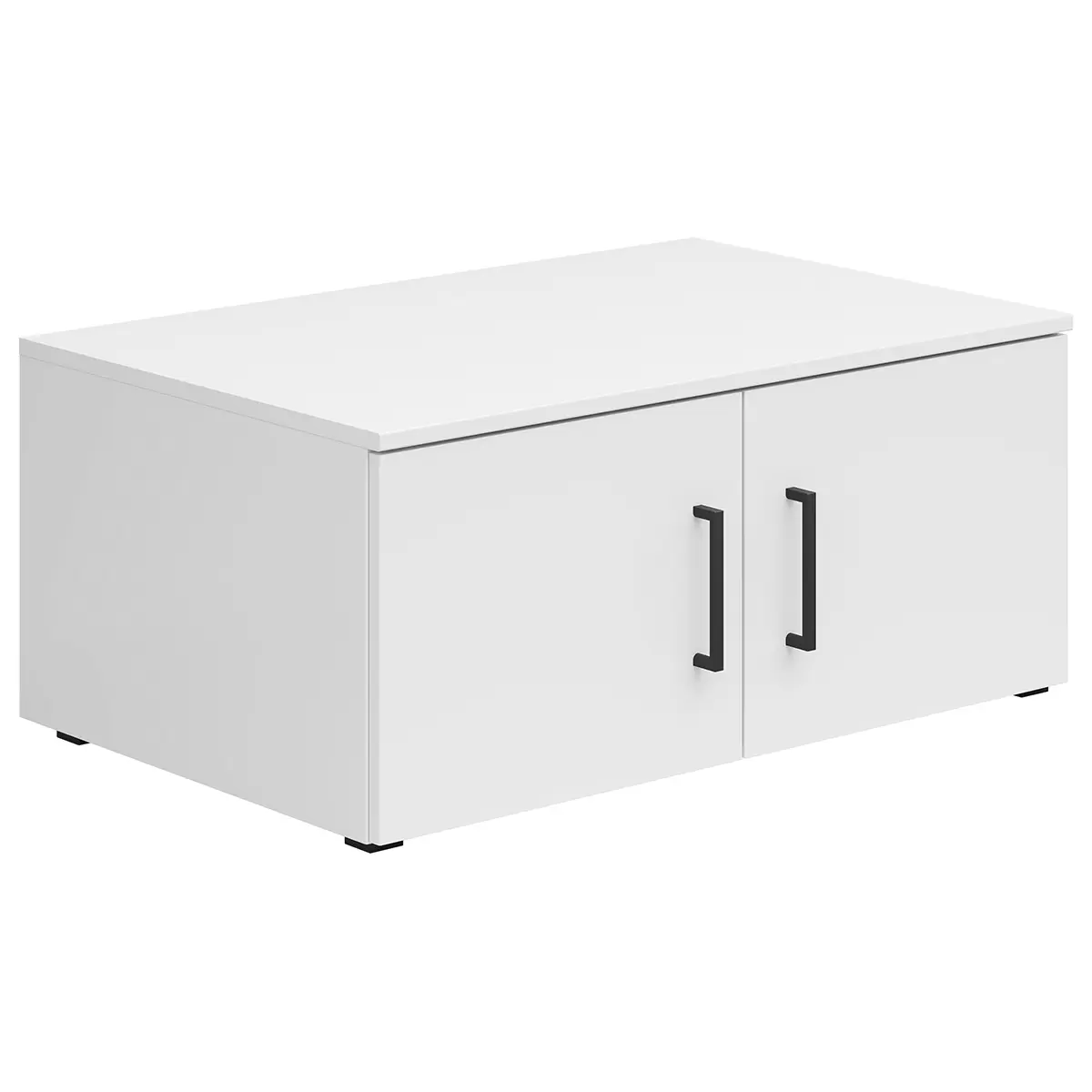 Regal 2T Cabinet weiss