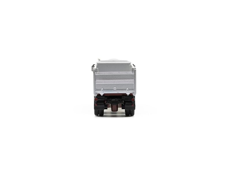 ACE LKW Berna D290B F8 x 4 Kipper Wuthrich 1:87 Kipper-Modell im Massstab 1:87