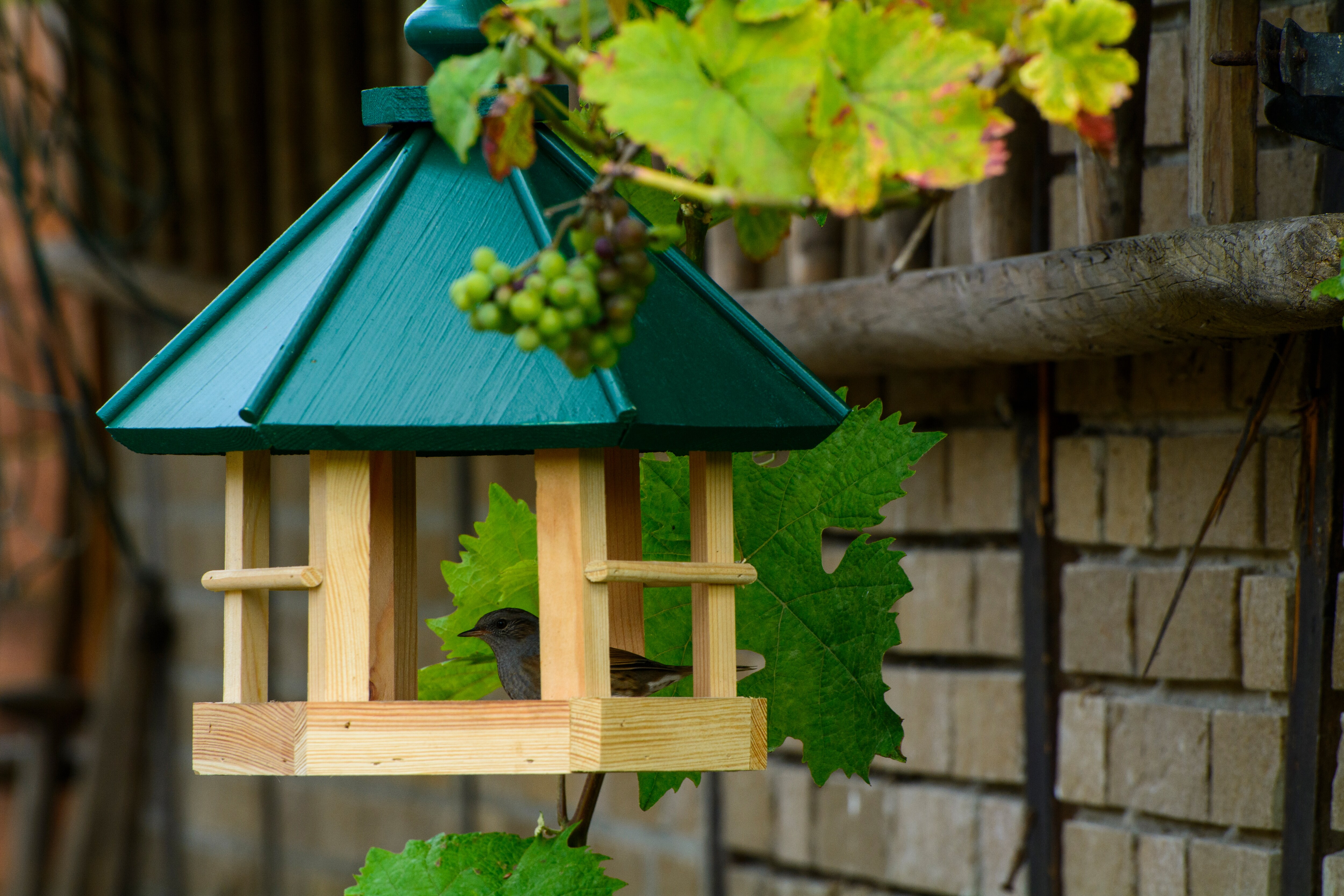 Klassisches Vogelhaus zum Aufhängen, 6-eckiges Futterhaus mit Kordel, Kiefer, Grün