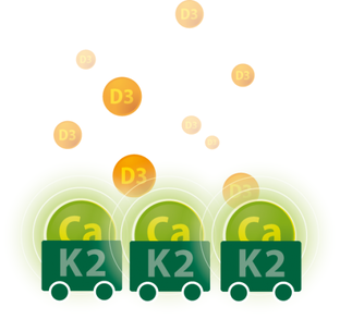 Vitakruid Vitamine D3 & K2 Druppels 30ML
