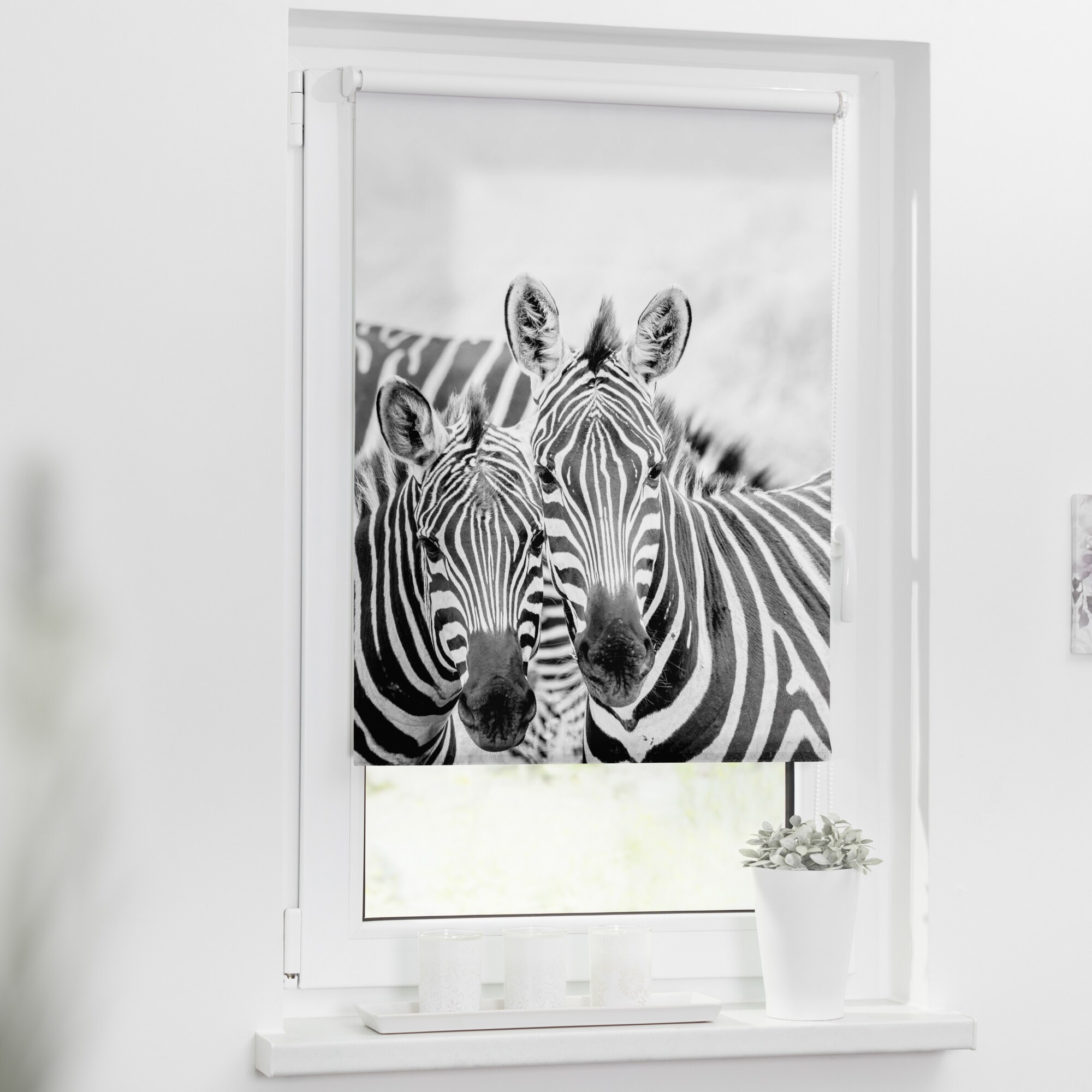 Lichtblick Rollo Klemmfix, ohne Bohren, blickdicht, Zebra - Schwarz Weiß