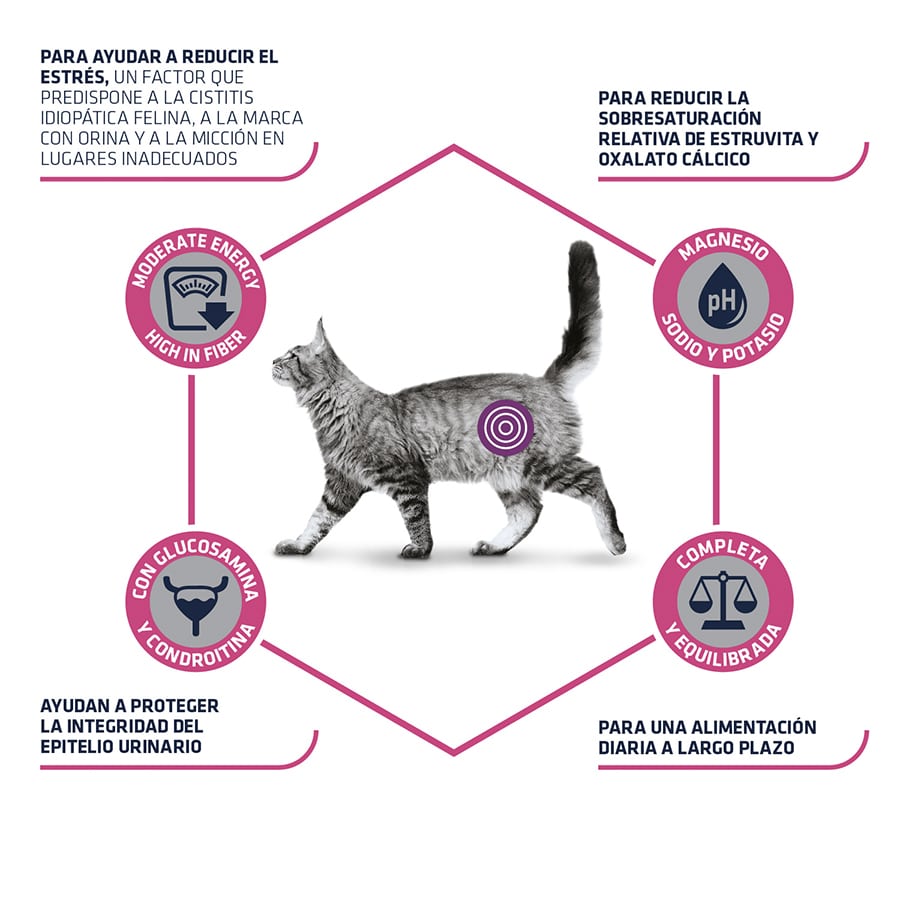 1,25 kg de ração Advance Veterinary Diets para estresse urinário em gatos