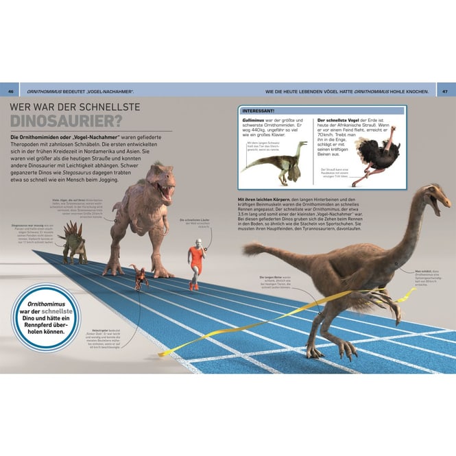 Total verrückt! - Dinosaurier