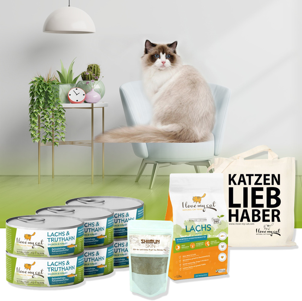Ensemble économique pour ragdoll