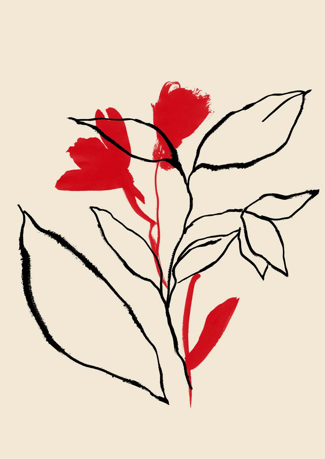 Rote und schwarze Linien