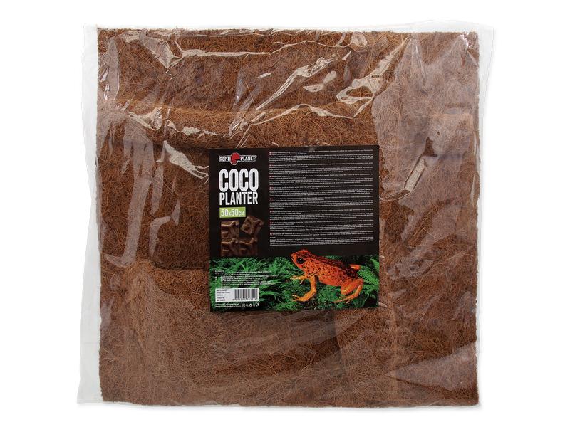 Repti Planet Coco Pflanzgefäss 50 x 50 cm Natürliche Rückwand mit integriertem Pflanzentopf