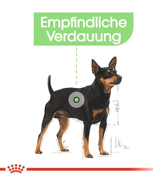 ROYAL CANIN® Trockenfutter für Hunde