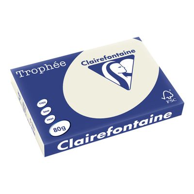 Clairefontaine Trophée - Papier couleur - A3 (297 x 420 mm) - 80 g/m² - Ramette de 500 feuilles - gris perle