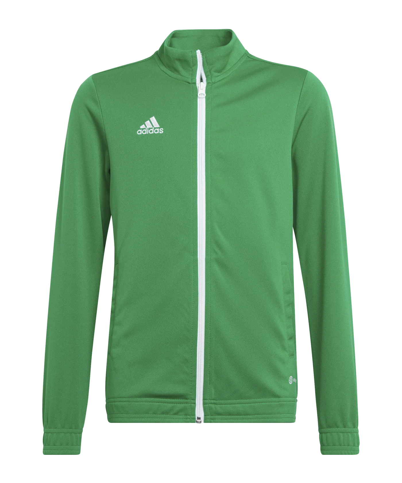 adidas Entrada 22 TK Trainingsjacke Kids Grün