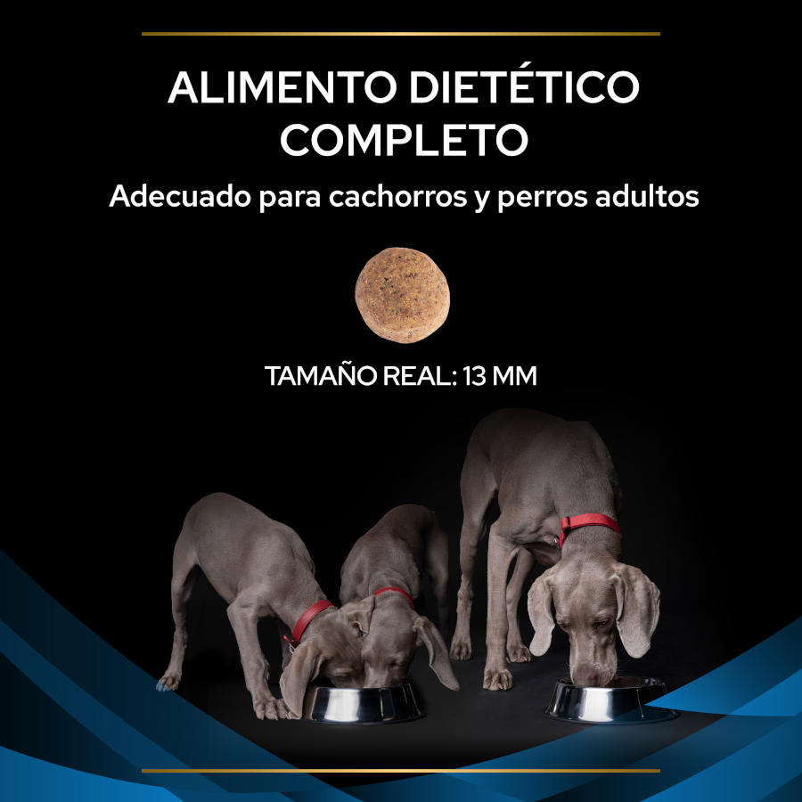 Ração Pro Plan Veterinary Diets para cães com dermatose