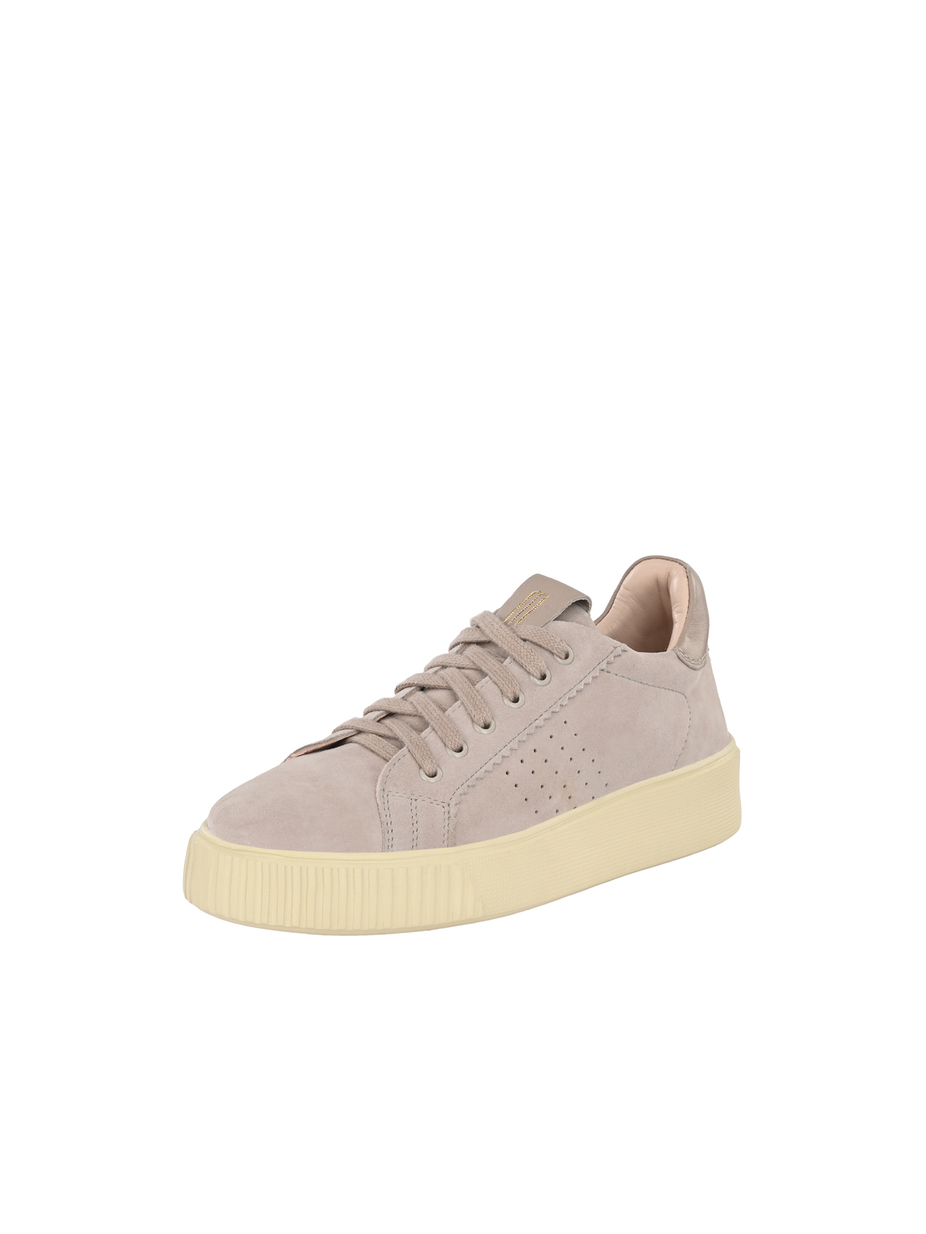 SNEAKER HARPER