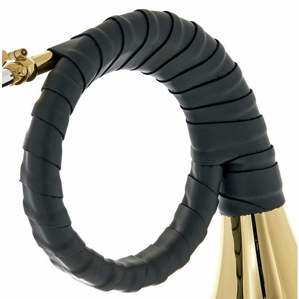 Dotzauer Fürst Pless in Bb 18815 L