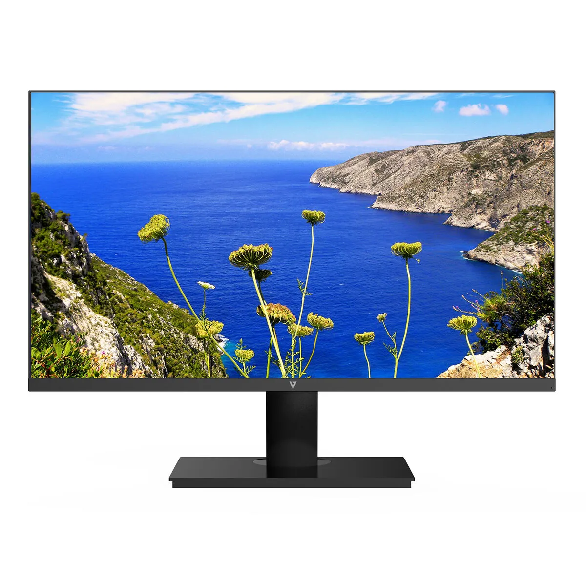 V7 Écran Full HD 23,8