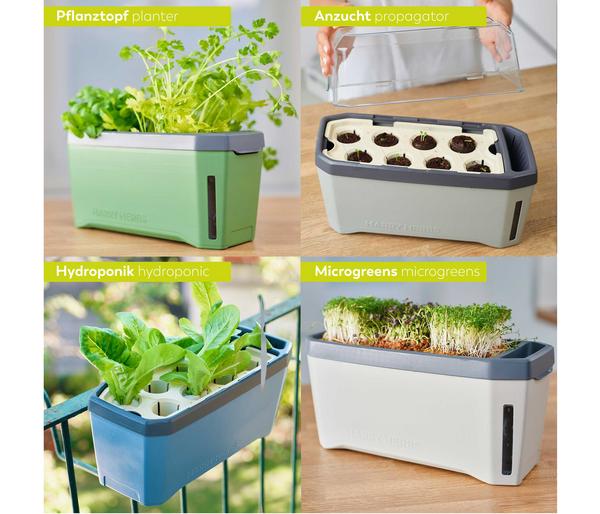 Gusta Garden Kräutertopf Harry Herbs, ca.