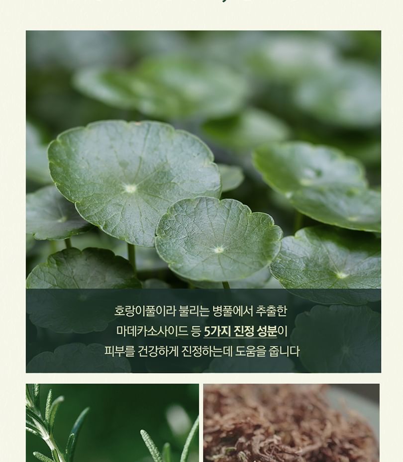 Pyunkang Yul - Kalmerende Toner Pad