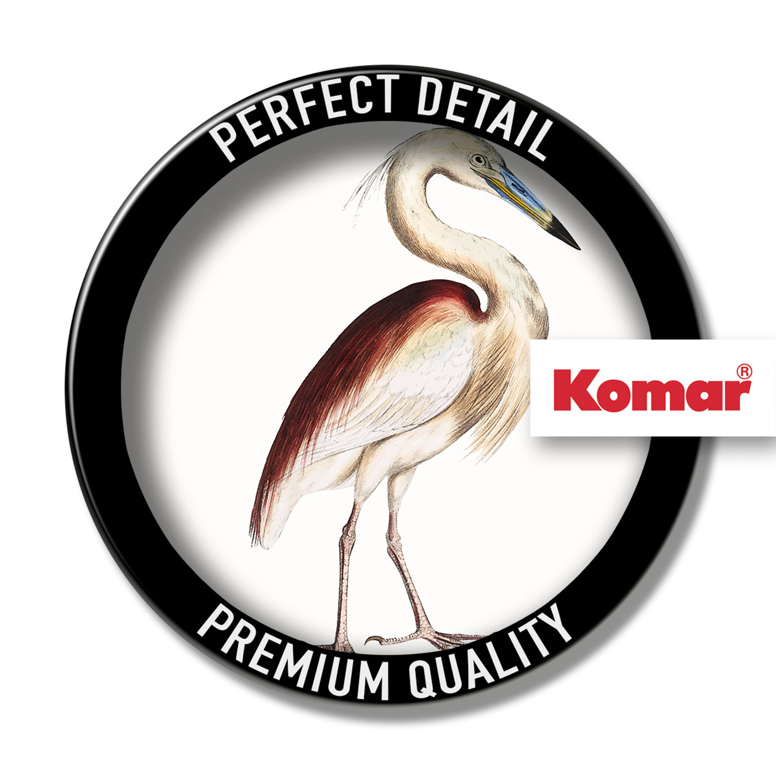 Keilrahmenbild UNCOMMON BIRD - 40x40 cm