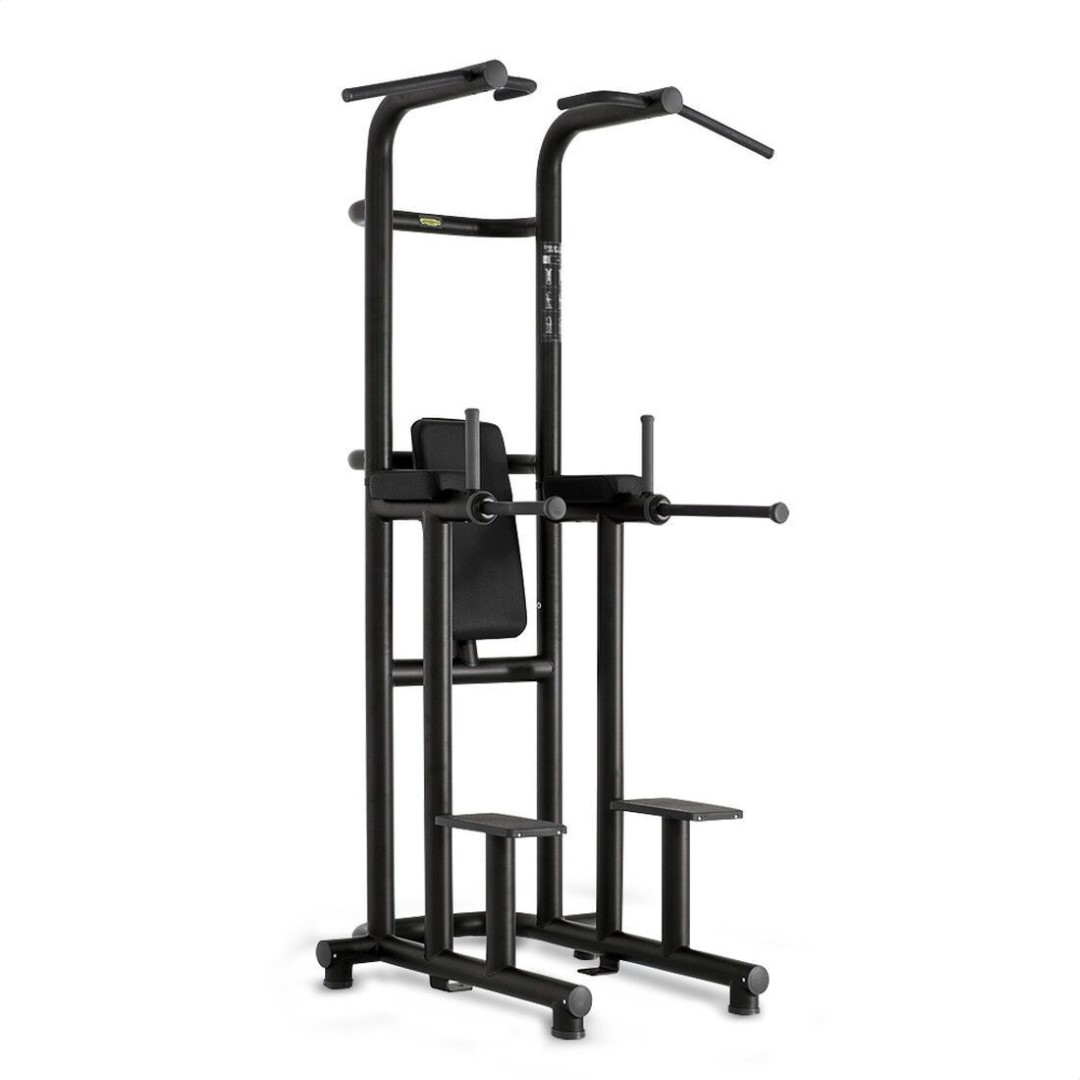 Technogym Chin Up Dip Leg Raise
