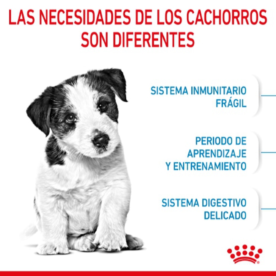 Ração Royal Canin Mini Puppy para cães