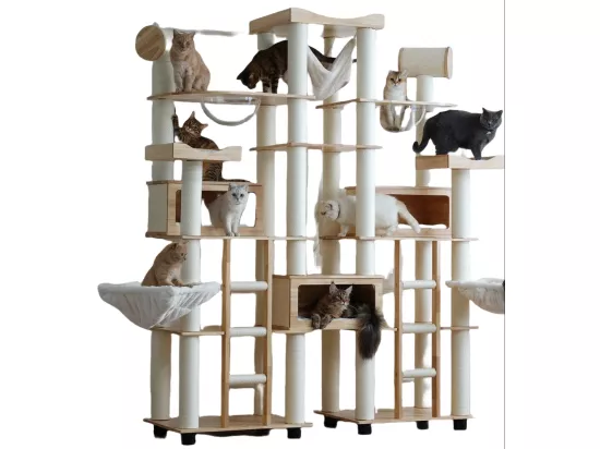 Arbre à chat, Cadre d'escalade pour chat en bois, 275cm×h238cm