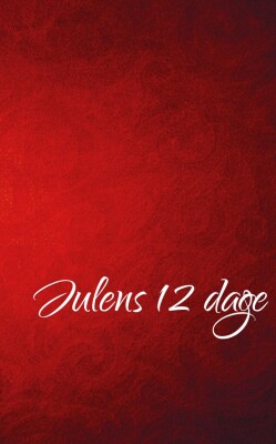Julens 12 Dage - Carsten Riis Jensen - Bog