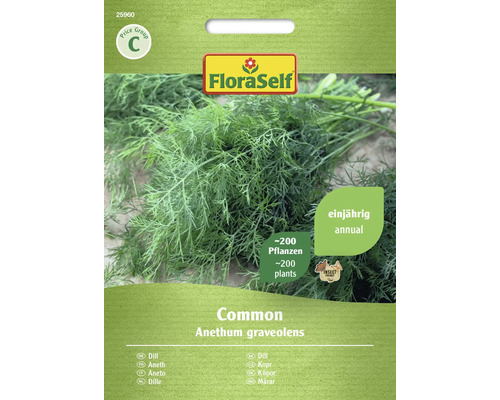 Dille, gewone flora, zelfbestuivende zaden, kruidenzaden