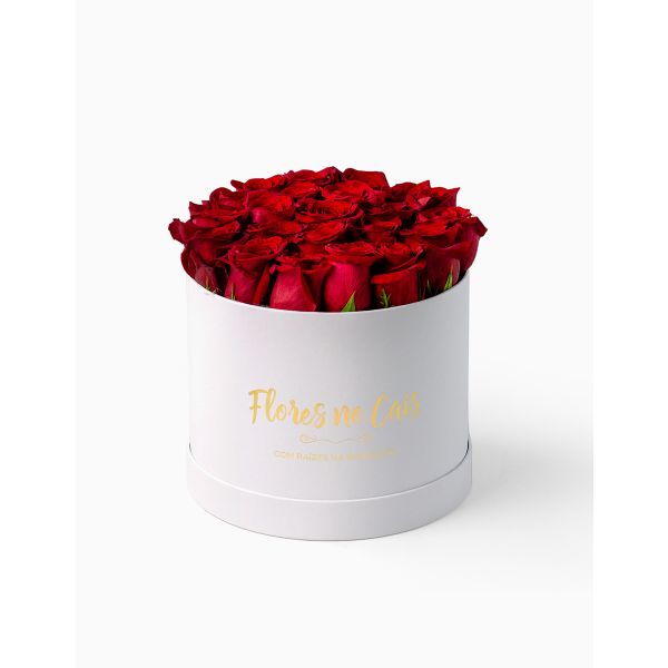 Flores no Cais Caixa de Rosas Vermelhas Naturais (Branca, Premium)