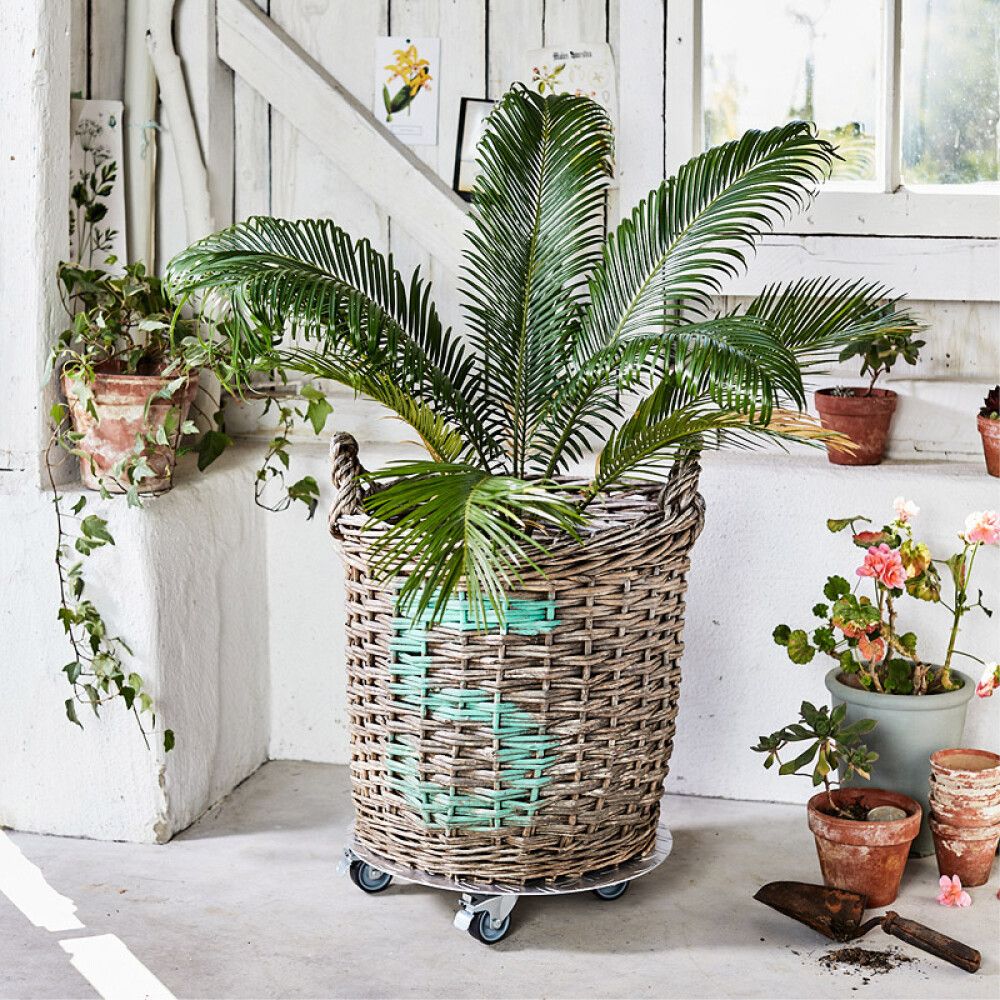 POTTETRALLE WAGNER ALASKA 7002 RILLET Ø38CM 100KG