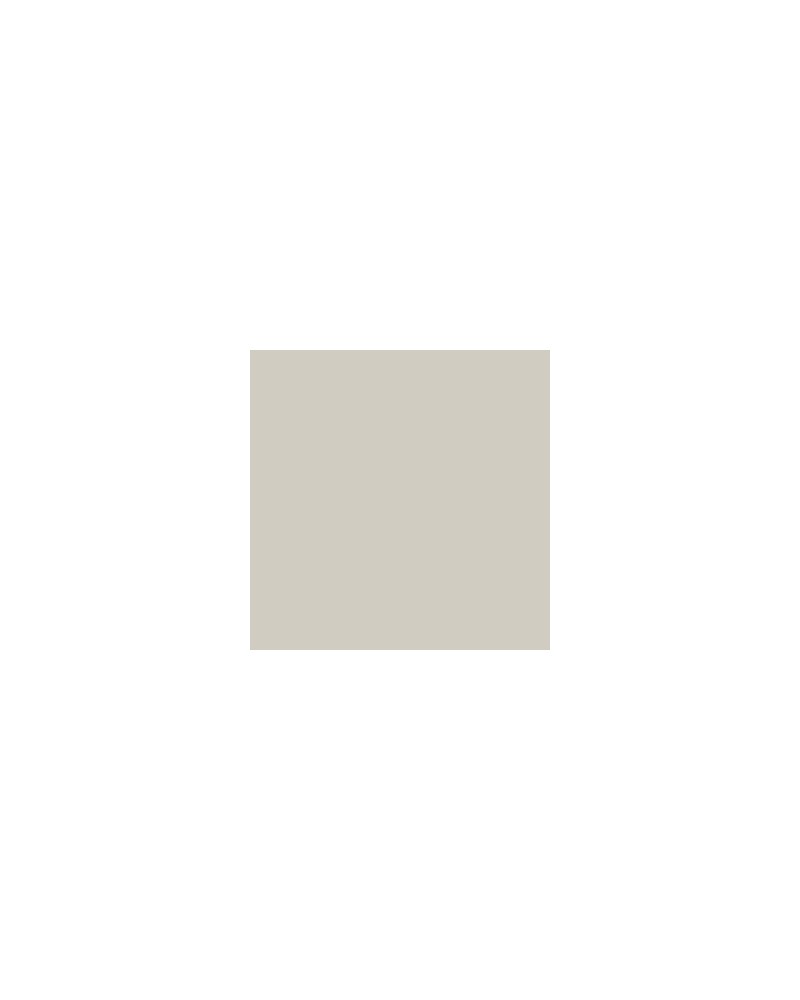 805 - gris chaud n°5 - Kuretake Art & Graphic Twin