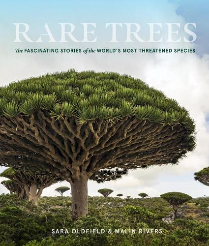 Rare Trees: The Fascinating Stories of the World's Most Threatened Species (Hardback)