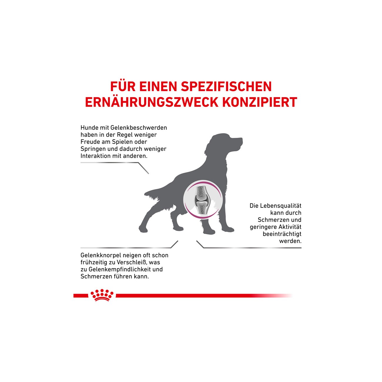 ROYAL CANIN Veterinary MOBILITY SUPPORT 12kg